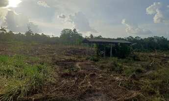 Imagem 5: Vende-se uma chácara na vicinal 5 de Iracema