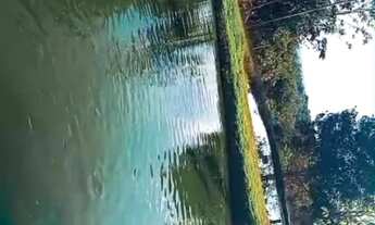 Imagem 11: Chácara 18 mil m²