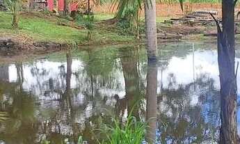Imagem 2: Vendo terreno na br 135 medindo 2500m2 dentro de São Luís