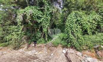 Imagem 7: Lopes Enjoy Vende Terreno com 5150 m² por R$ 480.000,00- Vargem Grande - Rio de Janeiro/RJ