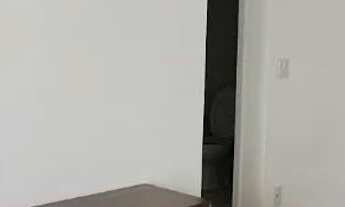 Imagem 6: Jardins Do Brasil