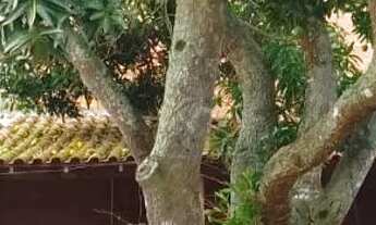 Imagem 5: Vende-se ou aluga-se