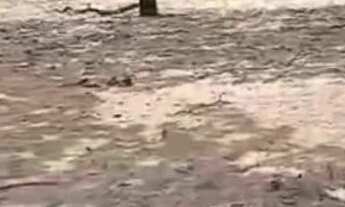 Imagem 4: Vende-se chácara c/ banho Próximo a Vila Recrear 40km de Boa Vista RR