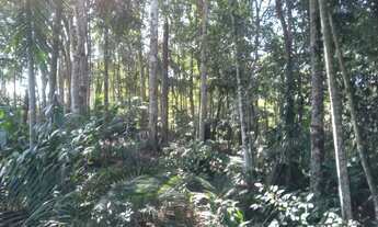 Imagem 6: Chacara proxima ao centro de juquitiba