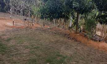 Imagem 6: Vendo chácara preço de ocasião