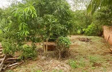 Imagem 3: RESIDENCIA COM AMPLO TERRENO, PRÓPRIO PARA CHACARA DE LAZER