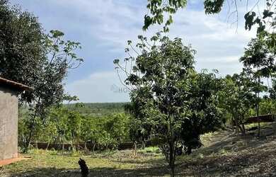Imagem 3: Chácara na estrada do distrito da Guia com 2 hectares com excelente localização