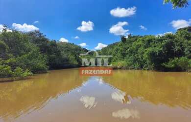 Imagem 6: Fazenda 33,5 alqueires (161 hectares) Ipameri - GO