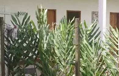 Imagem 4: Casa para Venda - 121m², 4 dormitórios, 2 vagas - São Caetano