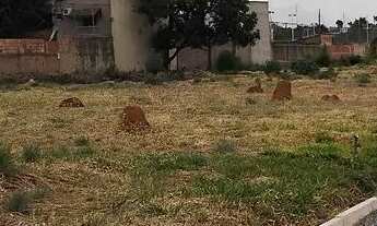 Imagem 5: Excelente lote na Ponte Alta Norte Gama