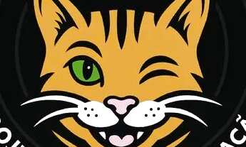 Imagem 7: Escritório Container a Pronta Entrega-Santos sp