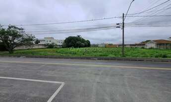 Imagem 6: Terremo no Jardim Paulista medindo 1.050 m² por R$ 850.000,00