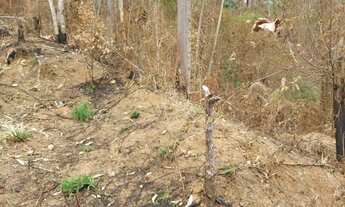 Imagem 4: Terreno Boa Vista 1.200M