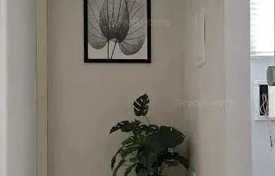 Imagem 7: Apartamento 3 quartos em Olaria