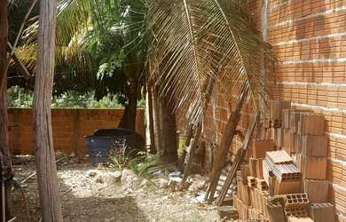 Imagem 2: Vendo casa no distrito do sucuri