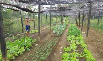 Imagem 4: Chácaras Ilha Dajuda - Praia dos Garcez