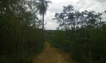 Imagem: Chacara de 2300 metros com muita agua 9