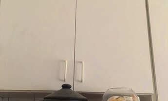 Imagem 2: Oportunidade Residencial das orguideas 1