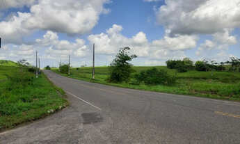 Imagem: Fazenda próximo BR 324 localizada em Terra