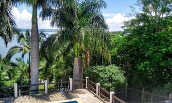 Imagem 6: Vende-se Rancho Região de Carlópolis PR