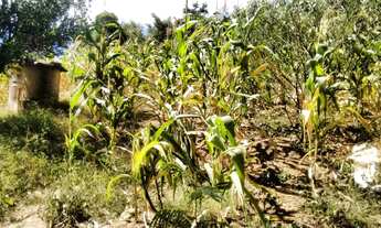 Imagem 5: Sítio à venda, 4 quartos, 1 suíte, 4 vagas, Jardim Encantado - Vespasiano/MG