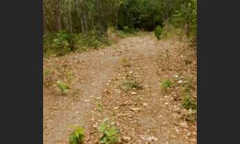 Imagem: Terreno 500 mts Barato (Tem cessão de direito