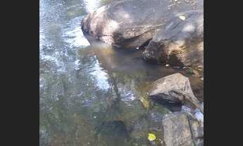 Imagem: CHACARA 01 ALQUEIRO CULTURA MUNICIPIO SAO