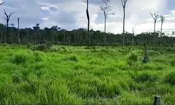 Imagem: Fazenda com 120 hectares a 20 km de Rorainópolis