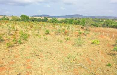 Imagem 2: FAZENDA 67 ALQUEIRES MUN.JARAGUA GOIAS