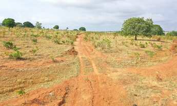 Imagem 7: FAZENDA 67 ALQUEIRES MUN.JARAGUA GOIAS
