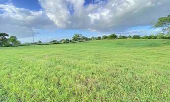Imagem 6: Vendo fazenda em Ipuaçu