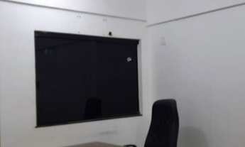 Imagem 3: Bulevar dos ipês