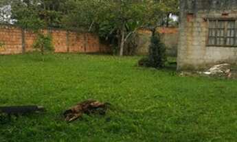 Imagem 3: Terreno em Guapimirim