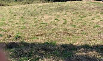 Imagem 3: Lotes baratos e bem localizado na cidade de cotia !