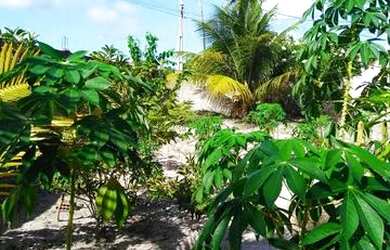 Imagem 2: Casa & Terreno Praia Carne de vaca Goiana PE