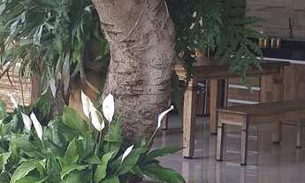 Imagem 6: Casa térrea a venda