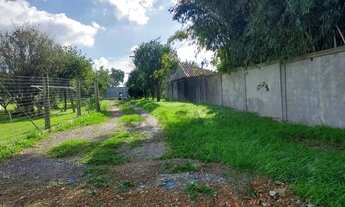 Imagem 3: Ótimo pavilhão com 400m², cozinha, dois banheiros sociais, piso polido, portão eletrônico