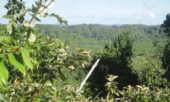 Imagem 3: Fazenda 800 hectares