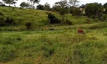 Imagem 3: Ótima oportunidade chácara 5000² casa com 4 cômodos