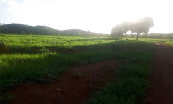 Imagem 4: Fazenda com Ótima Localização em Unaí