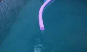 Imagem: Alugo casas em Praia grande