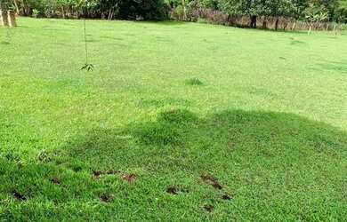 Imagem 4: Lote/Terreno para venda tem 600 metros quadrados em Centro - Santa Isabel - SP