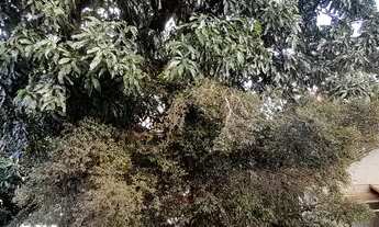 Imagem 7: Apartamento para com 3 quartos no Centro - Botucatu - SP