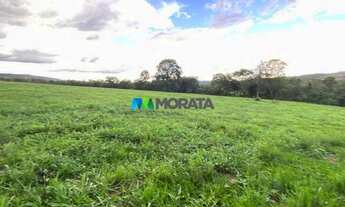 Imagem 7: PITANGUI - Fazenda - Zona Rural