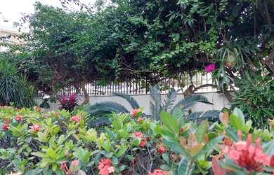 Imagem 3: Apartamento para venda possui 3 quartos mais dependência 130 m² - Vila Valqueire