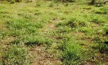 Imagem 5: 3 km do centro de Ibiúna a 250 m do Clube de Campo de Ibiúna