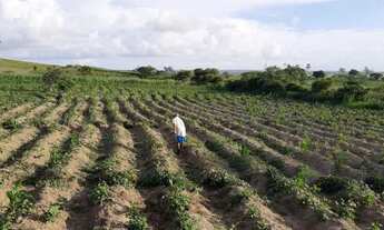 Imagem 5: Vendo Sítio Chácara com venda por R$350.000
