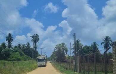Imagem 3: 02 Terrenos em Ponta de Mangue
