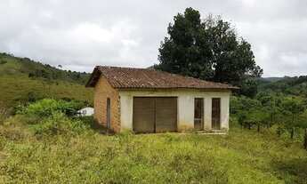 Imagem 3: Fazenda Em Mutuipe Cacau, Capim E Pasto