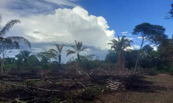 Imagem 5: TERRENO PLANO PARA SÍTIO NO KM26 DA AM 070 PRÓXIMO DO ASFALTO COM ENERGIA ELÉTRICA